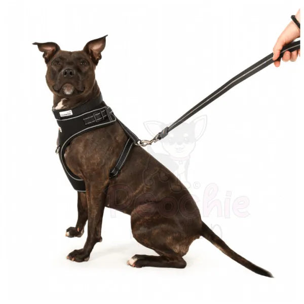 Doodlebone Rechargeable Light-up Dog Lead Black - Doodlebone - 8