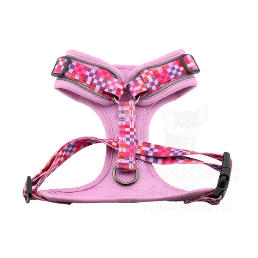 Doodlebone Stomp Dog Harness - Blush Checkmate - Doodlebone - 2