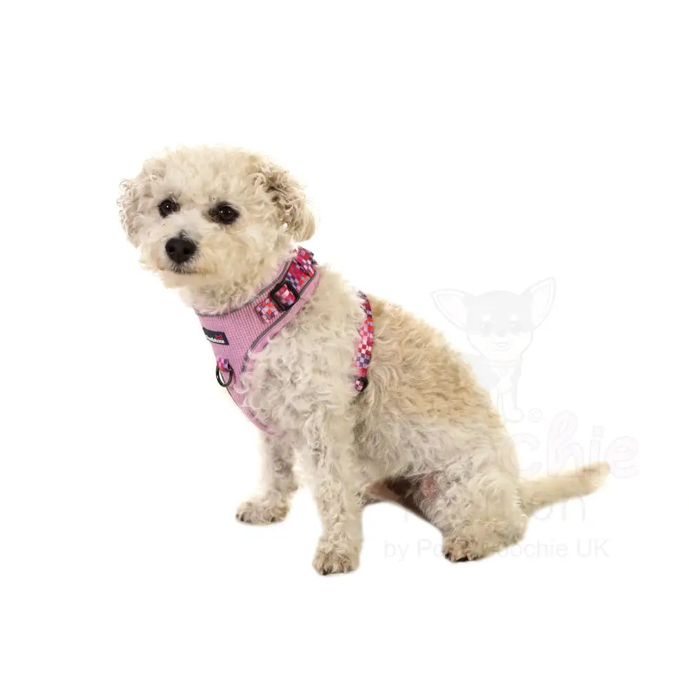 Doodlebone Stomp Dog Harness - Blush Checkmate - Doodlebone - 8