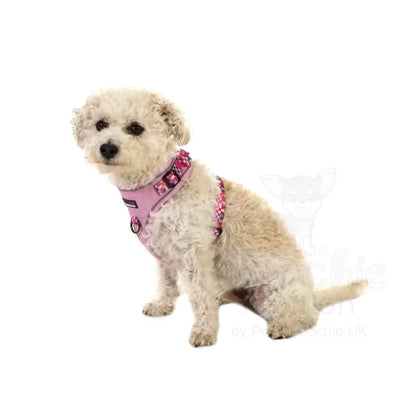 Doodlebone Stomp Dog Harness - Blush Checkmate - Doodlebone - 8