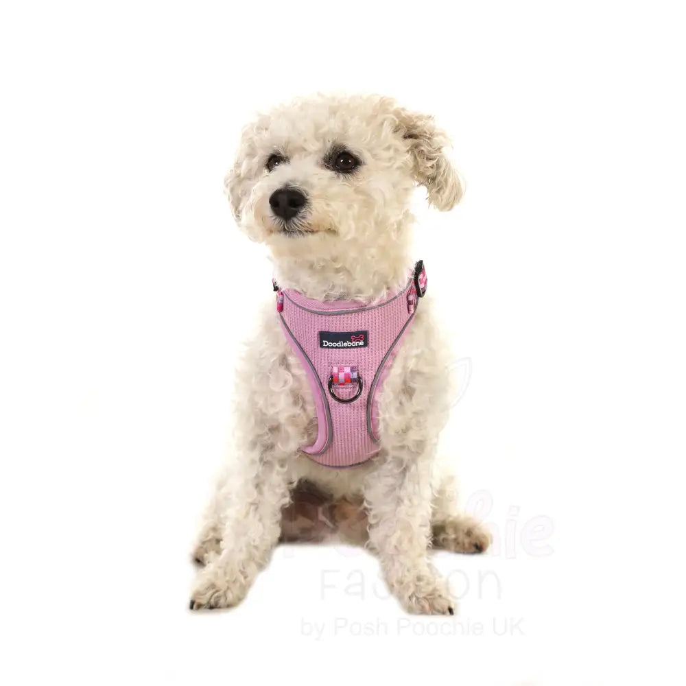 Doodlebone Stomp Dog Harness - Blush Checkmate - Doodlebone - 3