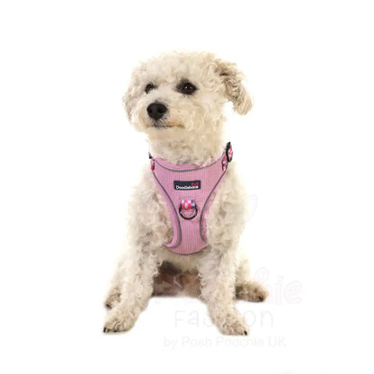 Doodlebone Stomp Dog Harness - Blush Checkmate - Doodlebone - 3