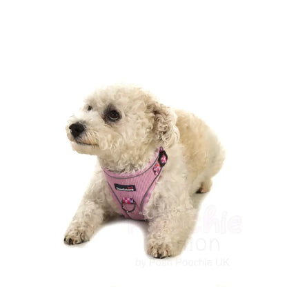 Doodlebone Stomp Dog Harness - Blush Checkmate - Doodlebone - 9