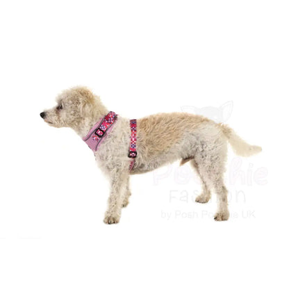 Doodlebone Stomp Dog Harness - Blush Checkmate - Doodlebone - 4