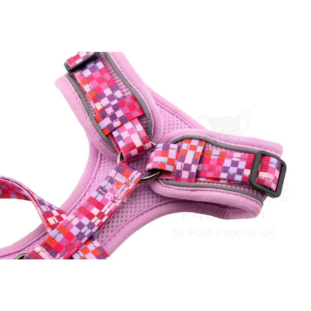 Doodlebone Stomp Dog Harness - Blush Checkmate - Doodlebone - 5