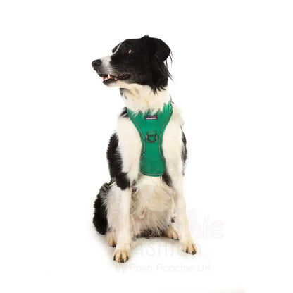 Doodlebone Stomp Dog Harness - Forest - Doodlebone - 3