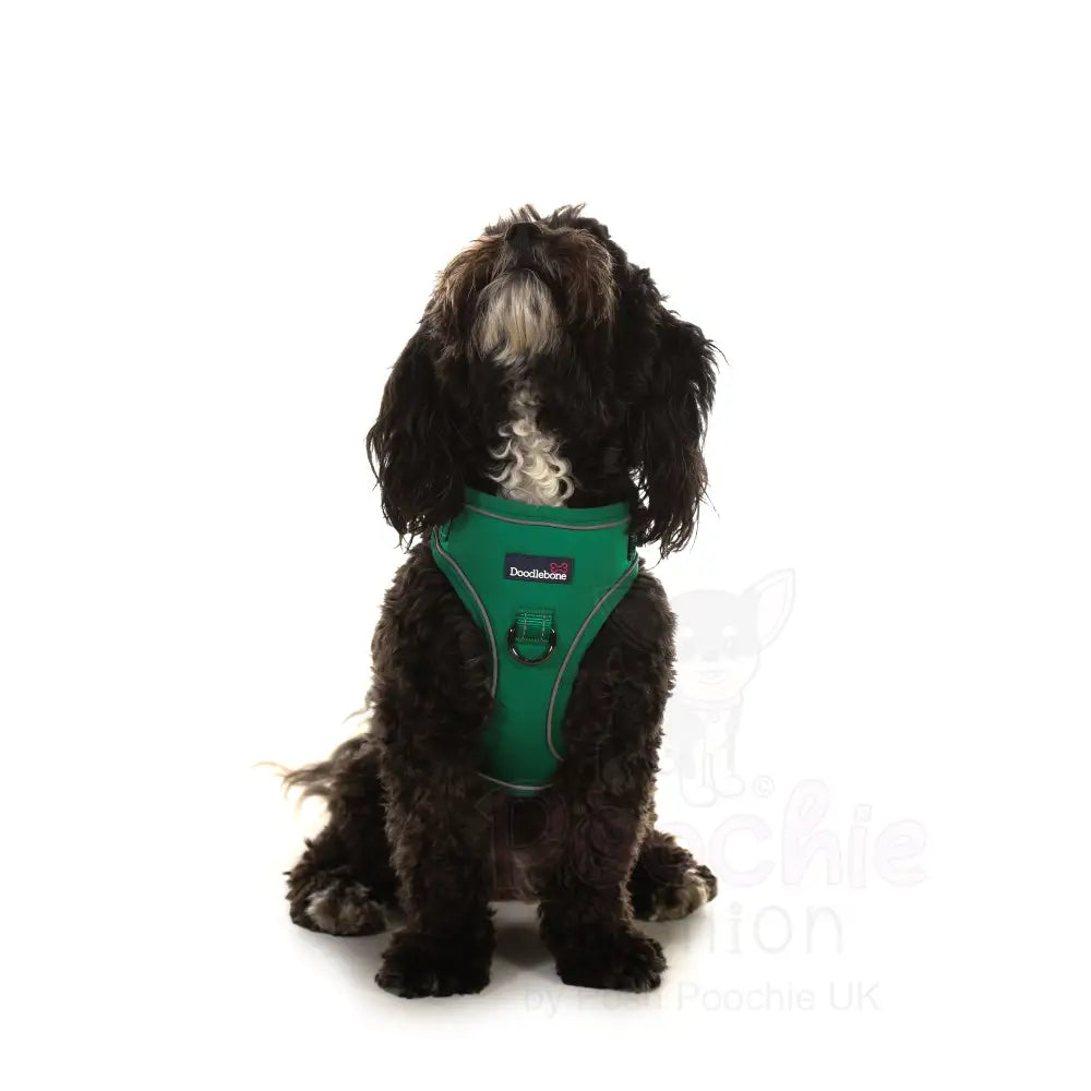 Doodlebone Stomp Dog Harness - Forest - Doodlebone - 9
