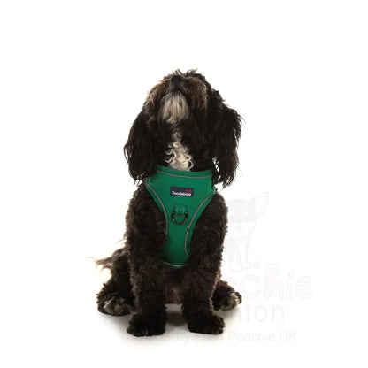 Doodlebone Stomp Dog Harness - Forest - Doodlebone - 9