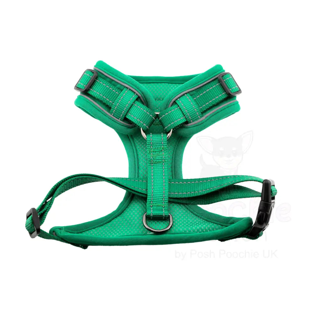 Doodlebone Stomp Dog Harness - Forest - Doodlebone - 2