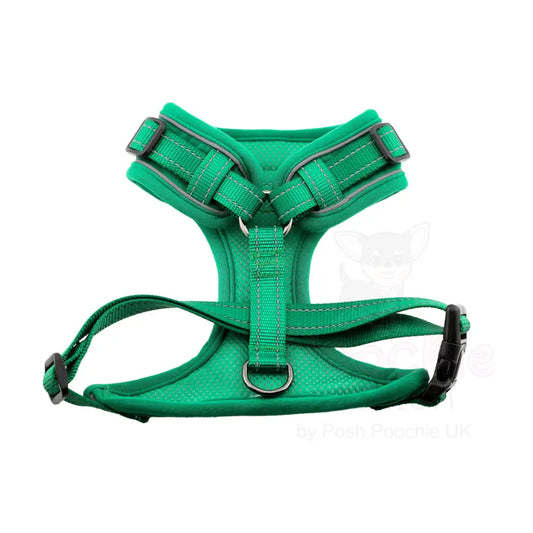 Doodlebone Stomp Dog Harness - Forest - Doodlebone - 2