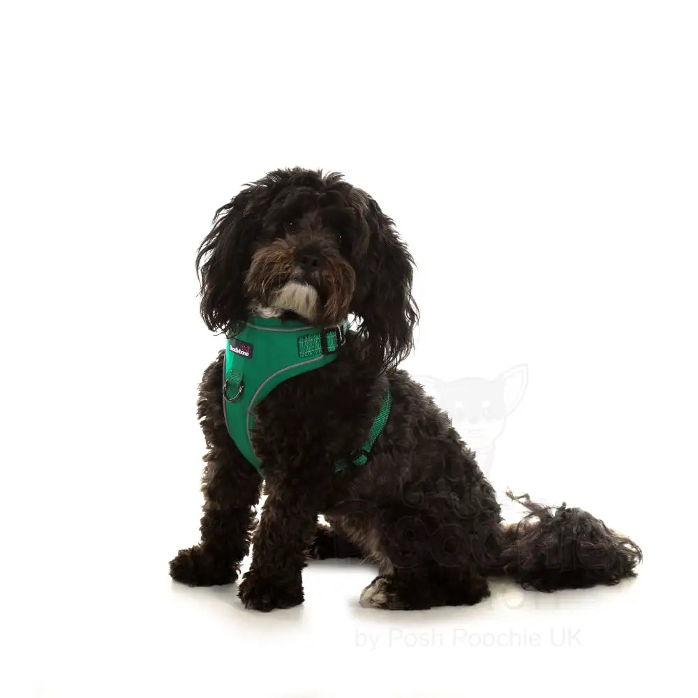 Doodlebone Stomp Dog Harness - Forest - Doodlebone - 6