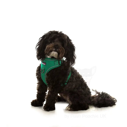 Doodlebone Stomp Dog Harness - Forest - Doodlebone - 6