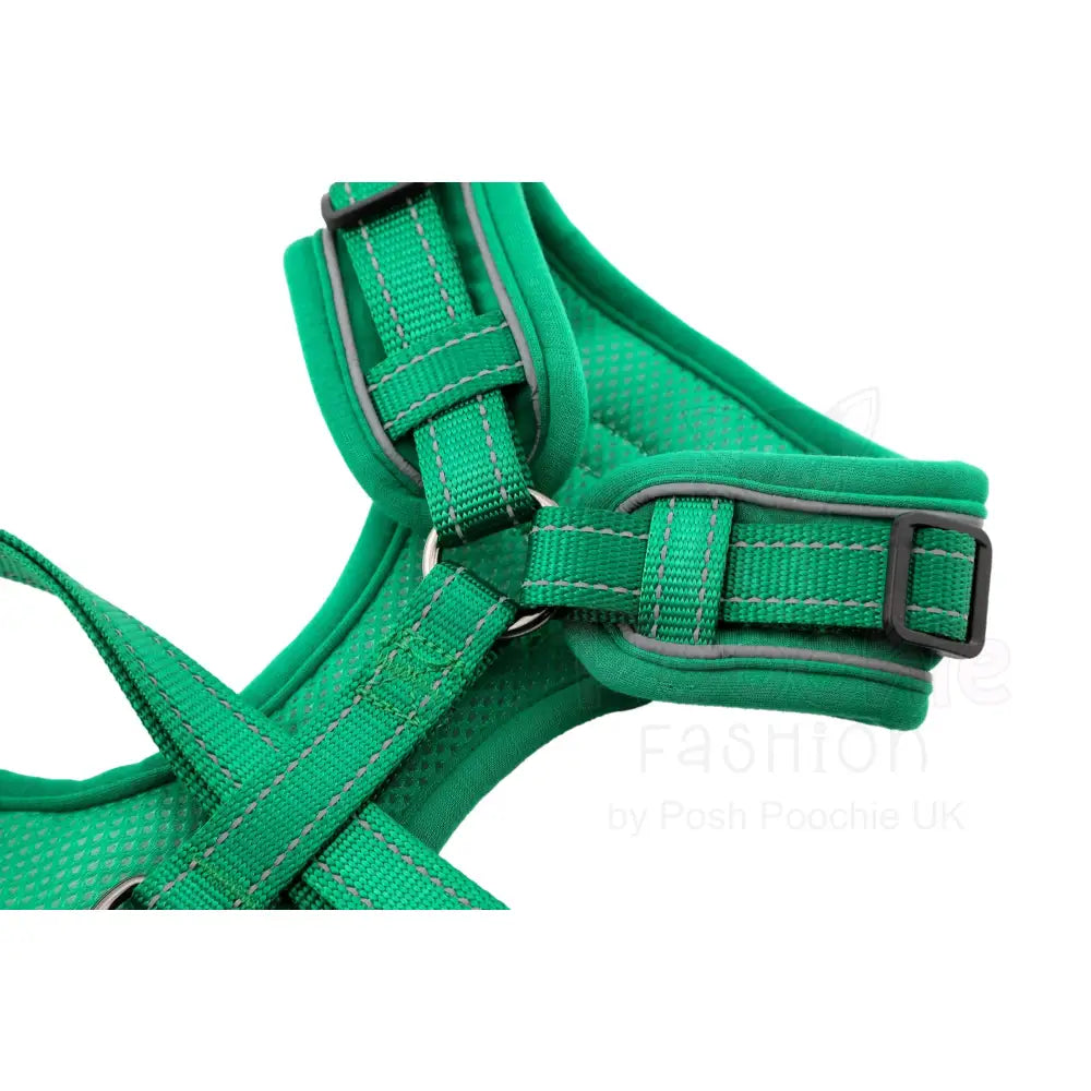 Doodlebone Stomp Dog Harness - Forest - Doodlebone - 8