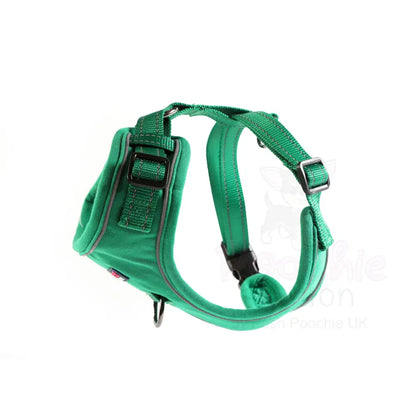 Doodlebone Stomp Dog Harness - Forest - Doodlebone - 4