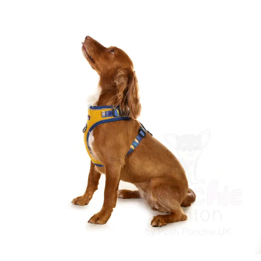 Doodlebone Stomp Dog Harness - Mustard Terrain - Doodlebone - 9