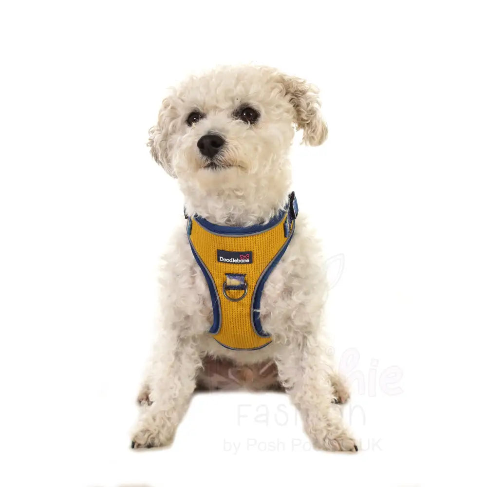 Doodlebone Stomp Dog Harness - Mustard Terrain - Doodlebone - 8