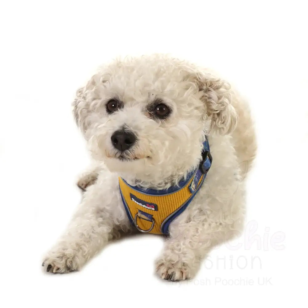 Doodlebone Stomp Dog Harness - Mustard Terrain - Doodlebone - 11