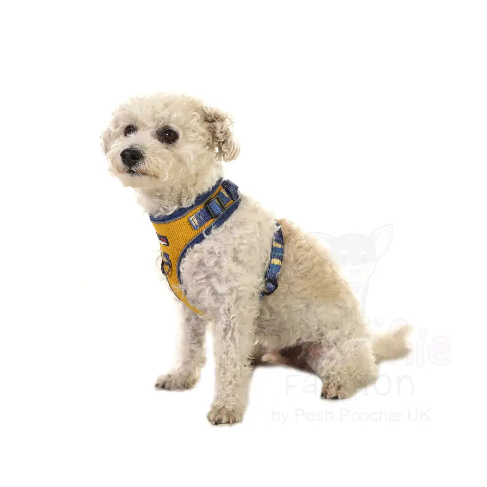 Doodlebone Stomp Dog Harness - Mustard Terrain - Doodlebone - 4