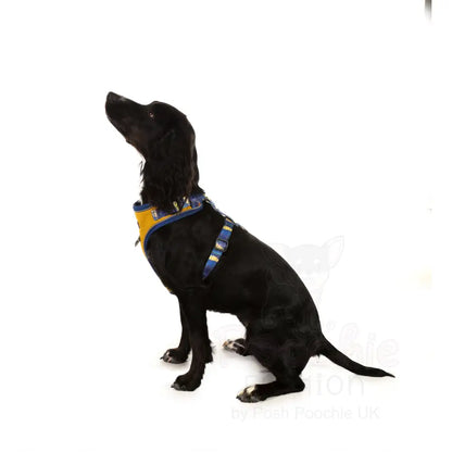 Doodlebone Stomp Dog Harness - Mustard Terrain - Doodlebone - 10