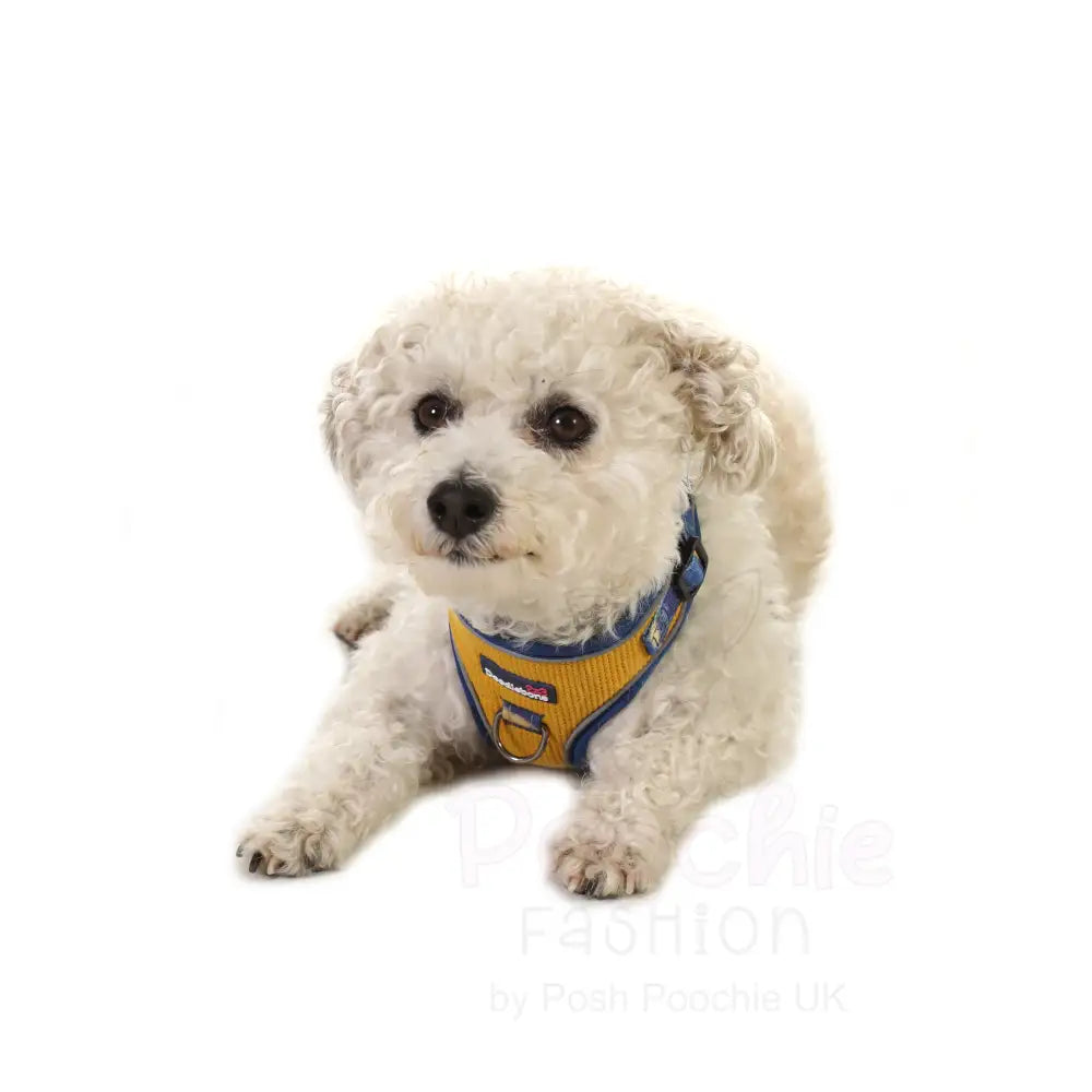 Doodlebone Stomp Dog Harness - Mustard Terrain - Doodlebone - 7