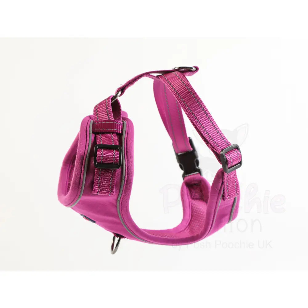 Doodlebone Stomp Dog Harness - Thistle - Doodlebone - 6