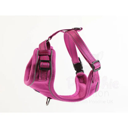 Doodlebone Stomp Dog Harness - Thistle - Doodlebone - 6