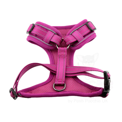 Doodlebone Stomp Dog Harness - Thistle - Doodlebone - 2