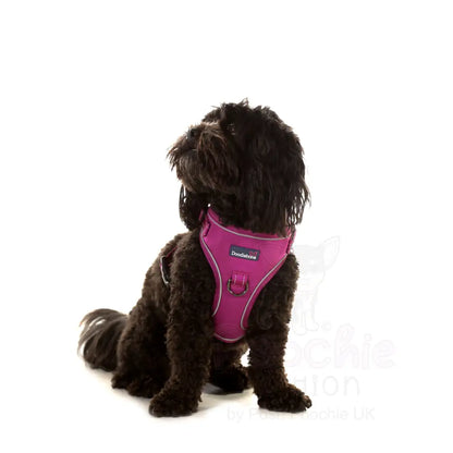 Doodlebone Stomp Dog Harness - Thistle - Doodlebone - 3