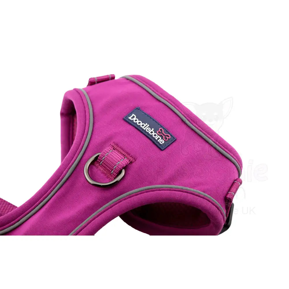Doodlebone Stomp Dog Harness - Thistle - Doodlebone - 8