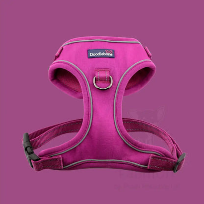 Doodlebone Stomp Dog Harness - Thistle - Doodlebone - 9