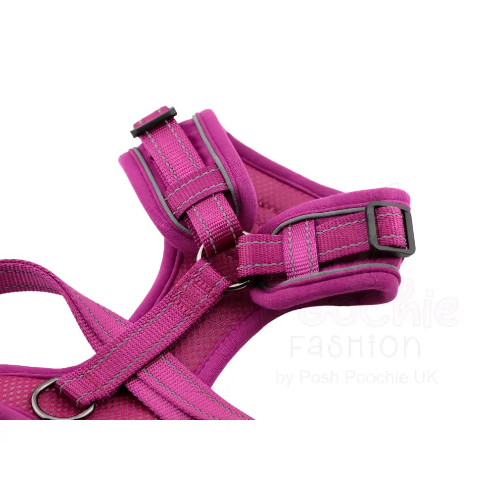 Doodlebone Stomp Dog Harness - Thistle - Doodlebone - 7