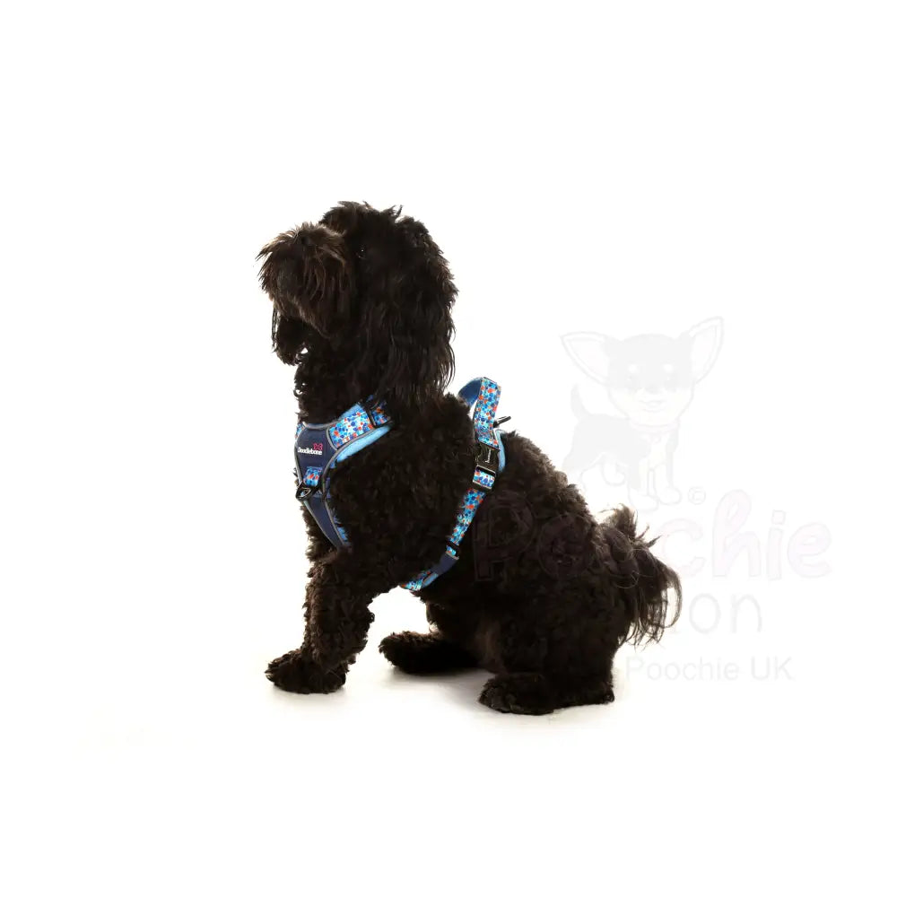 Doodlebone with me Dog Harness - Navy Reef - Doodlebone - 12