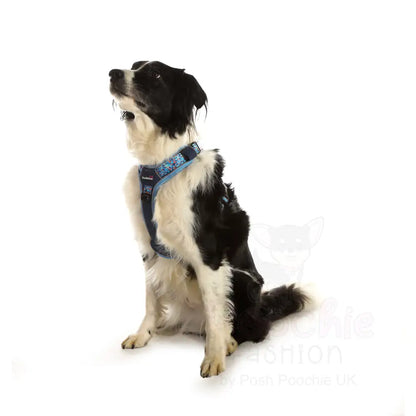 Doodlebone with me Dog Harness - Navy Reef - Doodlebone - 5