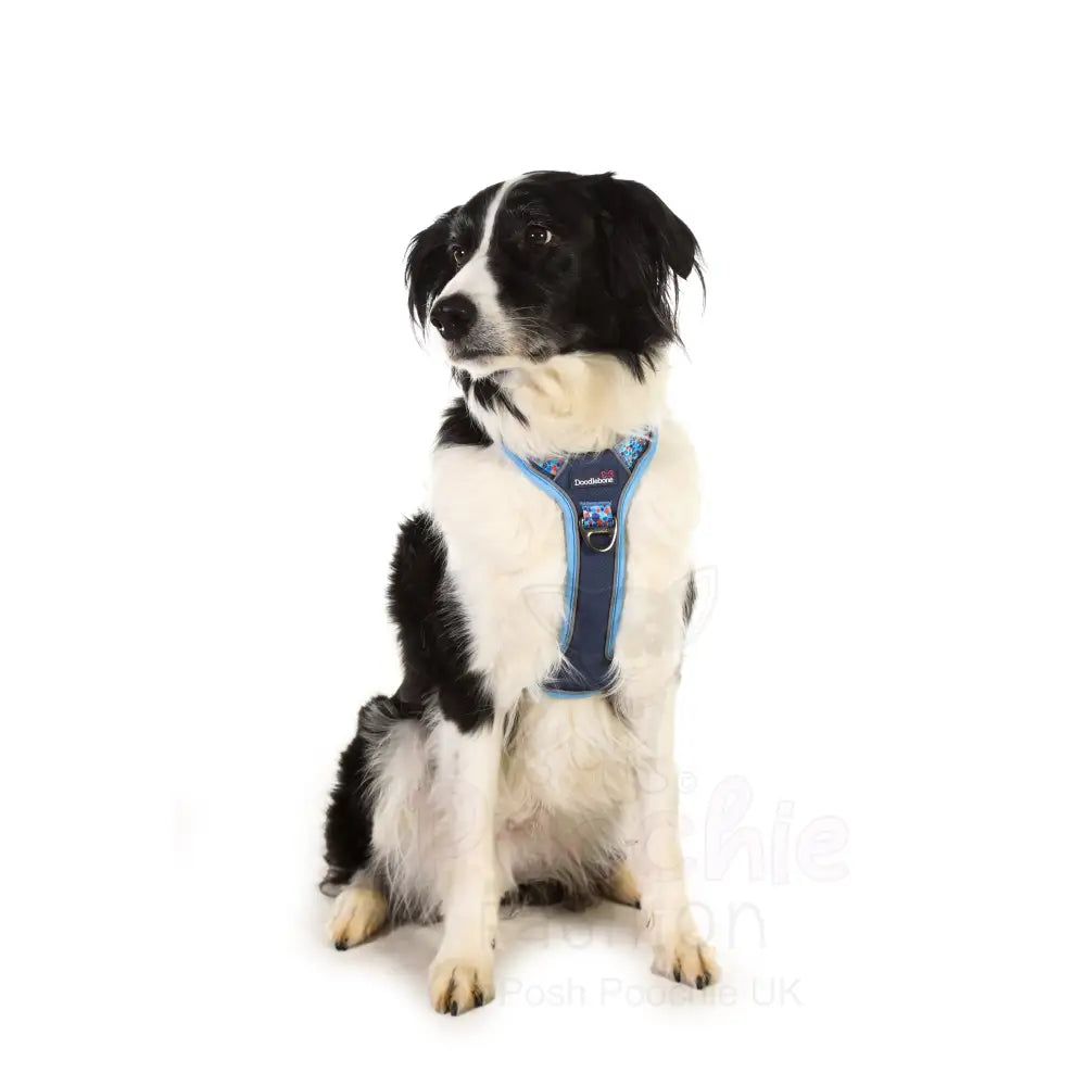Doodlebone with me Dog Harness - Navy Reef - Doodlebone - 3