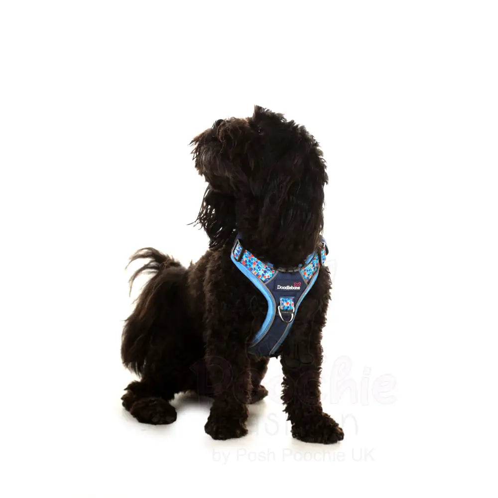 Doodlebone with me Dog Harness - Navy Reef - Doodlebone - 4