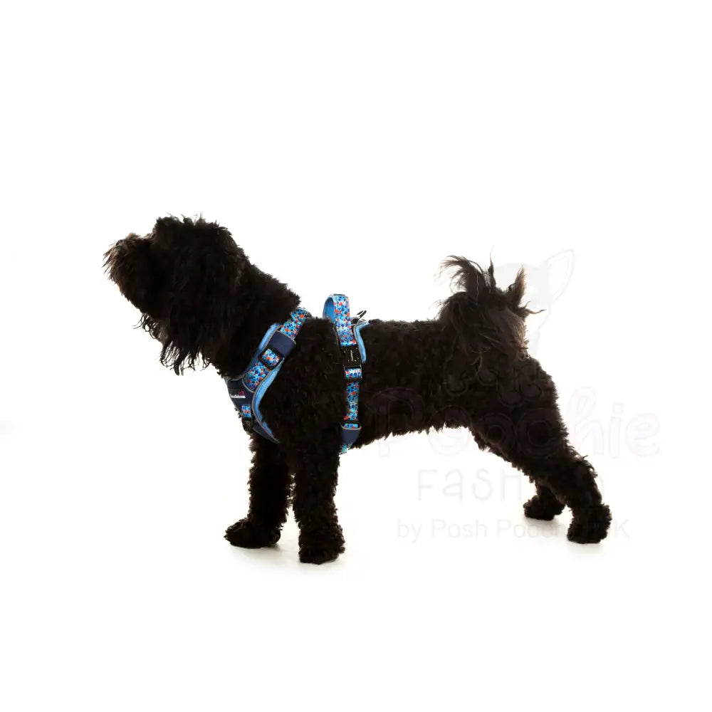 Doodlebone with me Dog Harness - Navy Reef - Doodlebone - 13