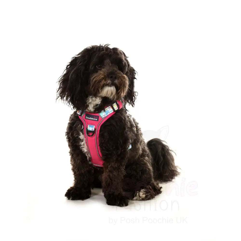 Doodlebone with me Dog Harness - Pink Pastel Paint Splat - Doodlebone - 3