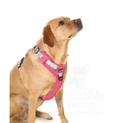 Doodlebone with me Dog Harness - Pink Pastel Paint Splat - Doodlebone - 8