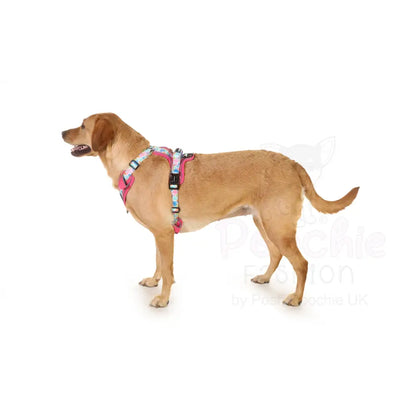 Doodlebone with me Dog Harness - Pink Pastel Paint Splat - Doodlebone - 10