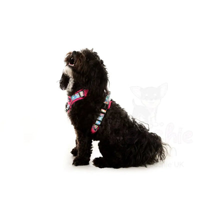 Doodlebone with me Dog Harness - Pink Pastel Paint Splat - Doodlebone - 7