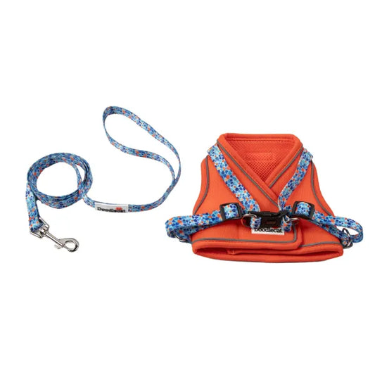 Doodlecat Cat Roaming Harness & Lead Set Tangerine & Reef - Doodlebone - 1