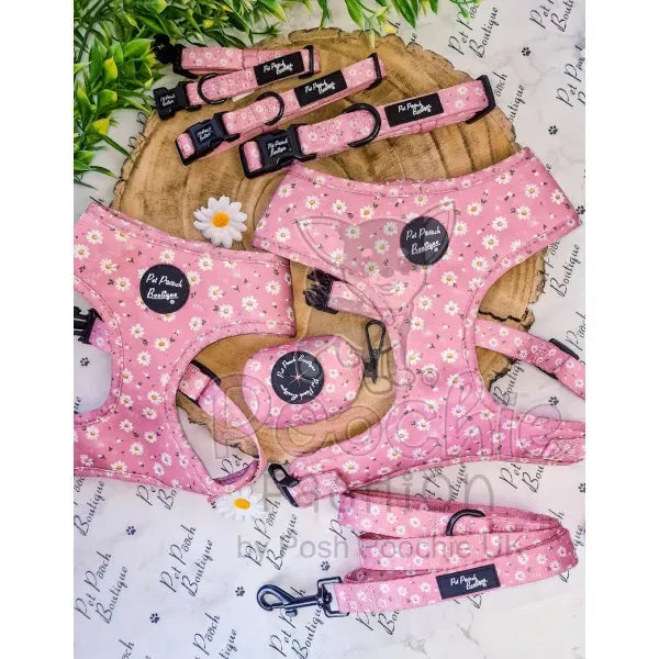 Dusky Pink Daisies Dog Collar - Pet Pooch - 3