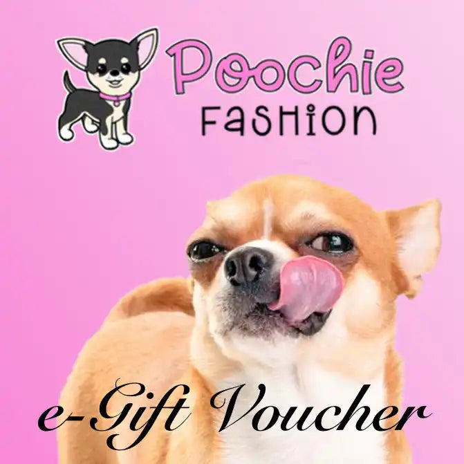 E-gift voucher card featuring a Chihuahua with its tongue sticking out on a pink background.