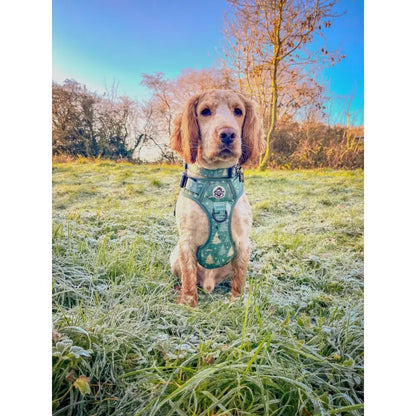 Evergreen Trails Adjustable Padded Dog Collar - Pupclub Couture - 4