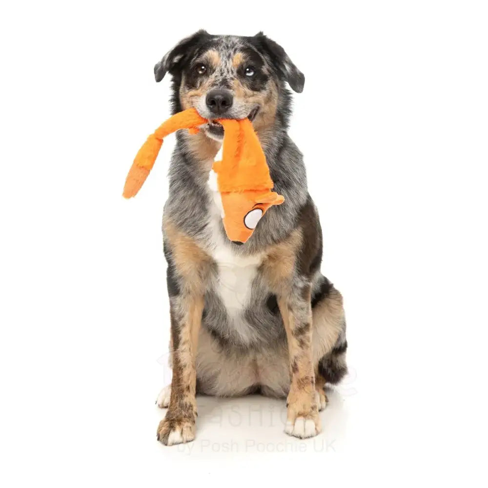 Farewell Fox - the Yeetz - Dog Toy by Fuzzyard - Fuzzyard - 4