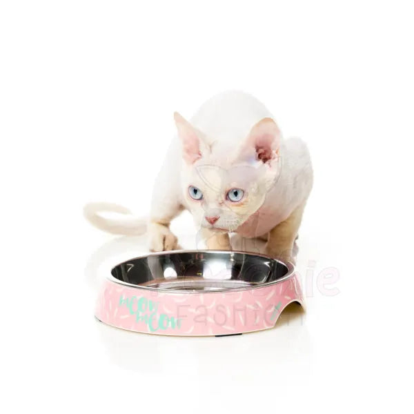 Featherstorm Cat Bowl by Fuzzyard - Fuzzyard - 2
