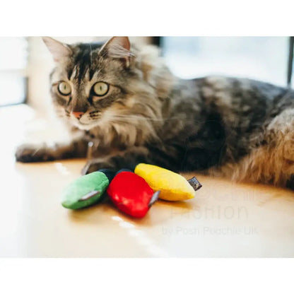 Feline Frenzy Christmas Lights Cat Toy Set of 3 - P.l.a.y - 2