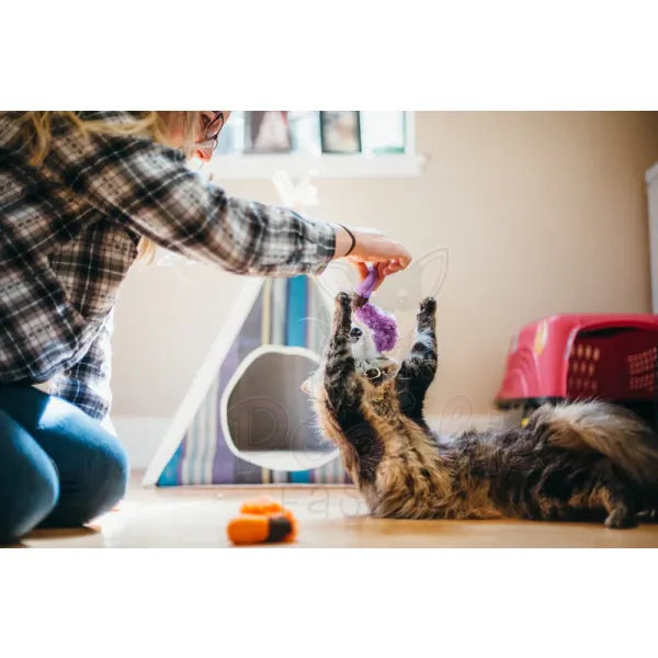 Feline Frenzy Worms Cat Toy Pack of 2 - P.l.a.y - 3