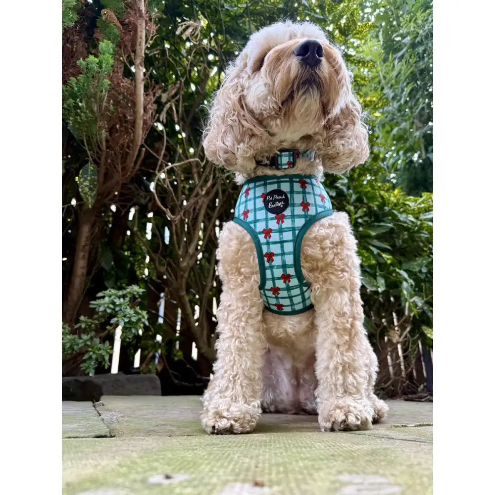Festive Plaid Bow Christmas Dog Harness - Pet Pooch - 3
