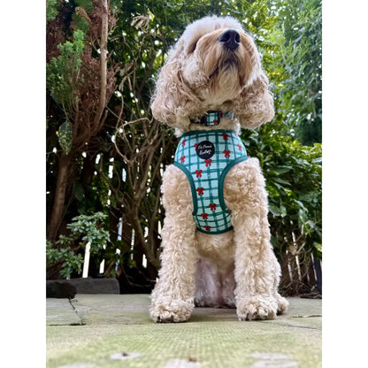 Festive Plaid Bow Christmas Dog Harness - Pet Pooch - 3
